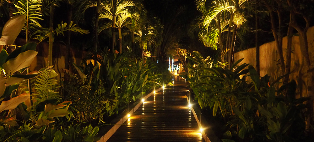 Top Garden Lighting Ideas